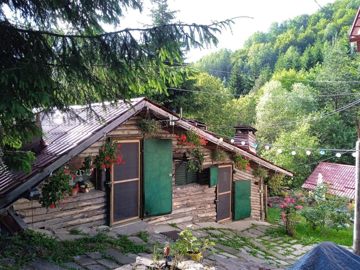 Apartamento Zimska Idila Crni Vrh Exterior foto